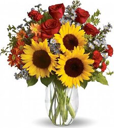 Envio y venta de flores ,rosas, plantas,arreglos florales ,regalos y desayunos a domicilio con delivery gratis en la Ciudad Autonoma de Buenos Aires y con costo de envo en localidades del Gran Buenos Aires asi como delivery de flores y plantas a travs de florerias asociadas en todas las provincias de la Argentina, Buenos Aires, la Pampa, Tucuman, La Rioja, Ro Negro, Entre Rios, Corrientes, Misiones, Neuquen, Chubut, Tierra del Fuego, Santa Cruz, San Luis, Mendoza, Cordoba, Jujuy, Formosa, Santiago del Estero, Salta, Chaco, Catamarca ,San Juan, y ademas realizamos el delivery de flores ,coronas,palmas , plantas y regalos a todas las ciudades de Argentina, Mar del Plata, Crdoba, Buenos Aires, con cargo en Santa Rosa, La Plata, Bella Vista, Neuquen, Pilar, Paran, Posadas, Resistencia, Cipolleti y mas de 300 ciudades y localidades en todo el territorio de nuestro pas, asi como tambien tenemos la posibilidad de enviar flores a casi todo el mundo en cuestion de horas